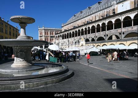 Markt a Padova, Venezia, Italia *** mercato a Padova, Veneto, Italia Foto Stock