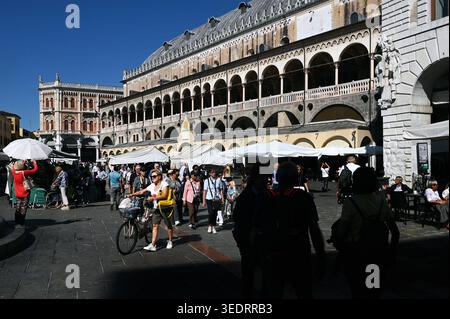 Markt a Padova, Venezia, Italia *** mercato a Padova, Veneto, Italia Foto Stock