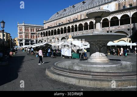 Markt a Padova, Venetien, Italien Foto Stock