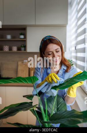 Una donna pulisce le foglie di una pianta mentre sorride nella sua cucina. Utilizza un panno e indossa guanti gialli per pulire accuratamente le foglie Foto Stock