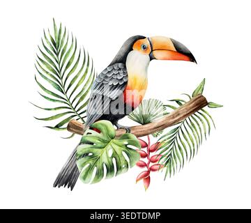 Toco toucan si siede su un ramo tra le foglie di una palma, monstera e fiore di heliconia. Uccello disegnato a mano ad acquerello, illustrazione isolata su Foto Stock