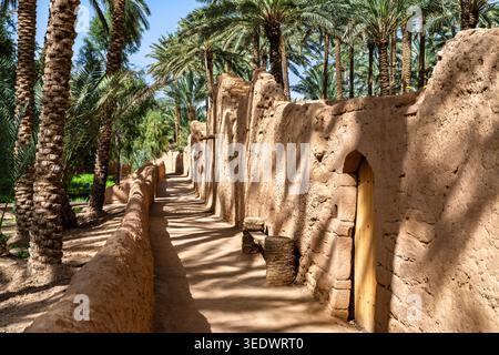 Uno stretto sentiero si snoda tra le storiche mura in mattoni fangosi e le lussureggianti palme da dattero nell'oasi di Alula, Arabia Saudita. Foto Stock
