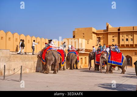 Turisti in sella a elefanti decorati all'Amer Fort (Fort Amber) a Jaipur, Rajasthan, India. Gli elefanti indossano vivaci coperte rosse e blu con Foto Stock
