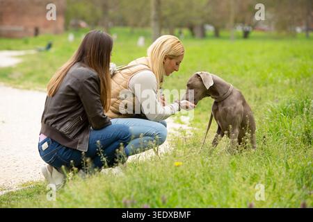 Due donne che si legano con il loro cane da bagno, nutrendolo in un parco verde Foto Stock
