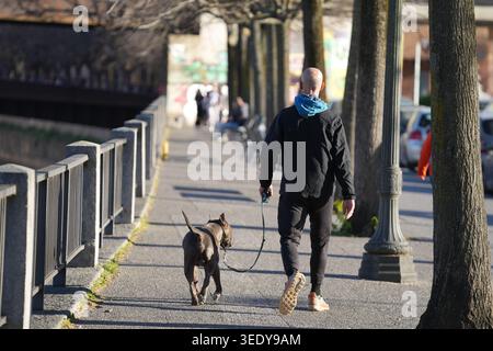 Un uomo cammina il suo cane su un guinzaglio lungo un soleggiato sentiero marciapiede fiancheggiato da alberi maturi lungo un argine urbano in pietra, Girona, Spagna. Foto Stock