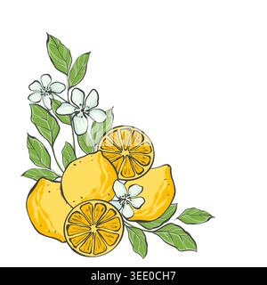 Disposizione botanica ad angolo con limoni gialli, fette di agrumi, fiori bianchi e foglie verdi. Illustrazione disegnata a mano Foto Stock
