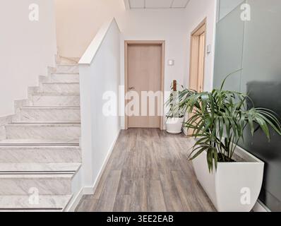 Corridoio luminoso e pulito con scala in marmo, pavimento effetto legno, porta in legno beige, piante in vaso verdi in fioriere bianche e pareti in vetro smerigliato Foto Stock