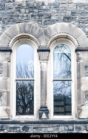 Primo piano della facciata in pietra dell'University College con finestre ad arco doppie e dettagli a colonna romanica scolpiti. Foto Stock
