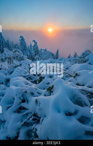 Vista del paesaggio innevato delle montagne Salatin con pini ghiacciati e cespugli sotto un tramonto dorato a Liptovska Stiavnica, Zilinsky kraj, Slo Foto Stock