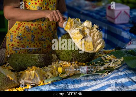 Persona che taglia a pezzi jackfruit fresco al mercato locale in Thailandia. Foto Stock