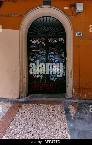 Una vista ravvicinata di una porta d'ingresso ad arco a Bologna, completamente coperta da vivaci opere d'arte di strada e graffiti. La porta oscura si distingue contro Foto Stock