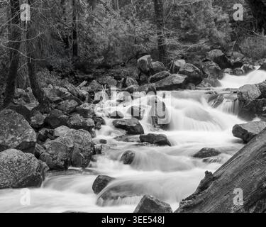 L'acqua si muove rapidamente su varie rocce in una scena fluviale. Alberi e piante incorniciano l'area, creando un paesaggio naturale. La spia mostra i dettagli di Foto Stock