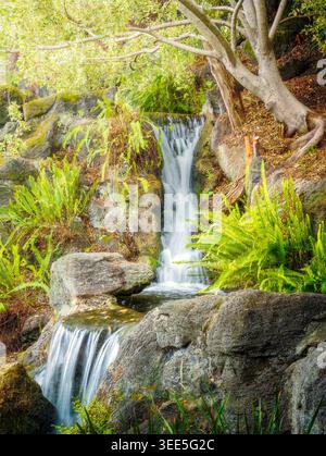 Cascata con giardino di smeraldo che si tuffa tra felci e rocce illuminate dal sole in un lussureggiante ambiente naturale verde. Foto Stock