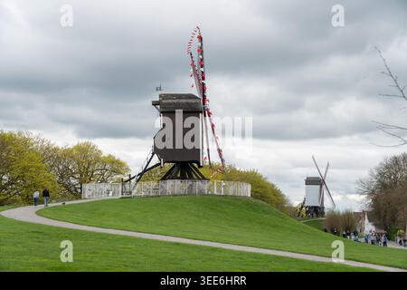 Bruges, Belgio - 4 aprile 2026: Due mulini a vento sorgono su colline erbose con sentieri curvi, recinzione metallica, visitatori, alberi primaverili. Mulini a vento storici Foto Stock