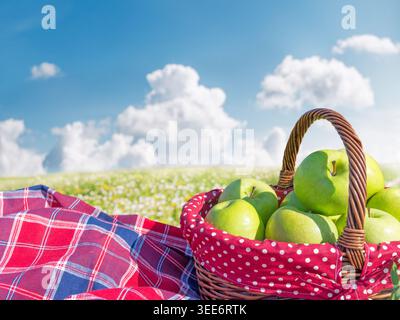 Cestino da picnic con mele su coperta nel parco soleggiato Foto Stock