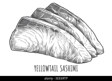 Un'illustrazione vettoriale finemente lavorata in stile classico di incisione di fette di Sashimi (Hamachi). Perfetto per menu di alto livello da ristorante giapponese Illustrazione Vettoriale