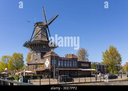 Amsterdam, Paesi Bassi - 30 aprile 2026: Birreria Brouwerij t IJ e mulino a vento tradizionale olandese ad Amsterdam, Paesi Bassi. Foto Stock