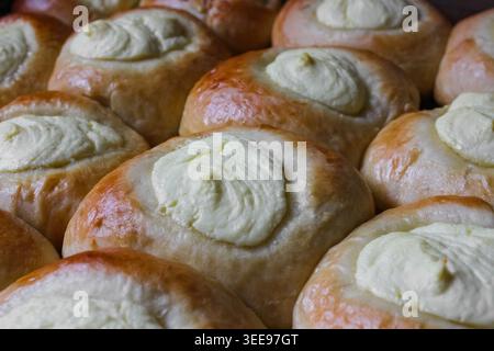 Panini di vatrushka appena sfornati con cremosi centri di formaggi cottage. Impasto di lievito dorato, consistenza morbida e un tradizionale aroma dolce. Foto Stock