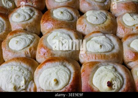 Vatrushki appena sfornato, tradizionali panini slavi, disposti a stretto contatto, con impasto di lievito dorato e un ricco e cremoso centro di formaggi cottage. Foto Stock