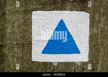 Marcatore di percorso triangolare blu dipinto su un cartello quadrato bianco su una palo di legno intemprata per la navigazione Foto Stock