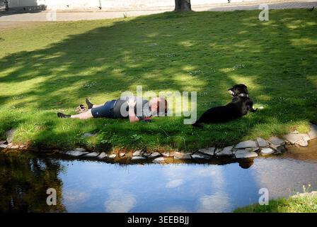 Oslo, Norvegia - 22 luglio 2014: Cane e proprietario si rilassano nel parco. Foto Stock