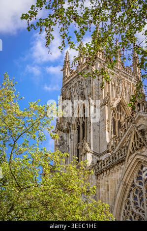 Una delle torri occidentali della York Minster con la sua architettura gotica vista attraverso le foglie di due alberi. Un cielo con nuvole è sopra. Foto Stock