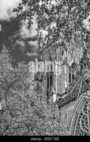Una delle torri occidentali della York Minster con la sua architettura gotica vista attraverso le foglie di due alberi. Un cielo con nuvole è sopra. Foto Stock