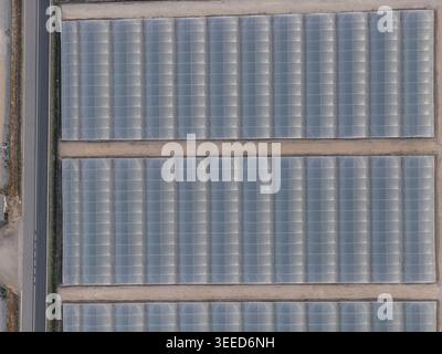 Veduta aerea di grandi serre industriali disposte in filari simmetrici accanto ad una strada asfaltata a Paestum, Campania, Italia. Foto Stock
