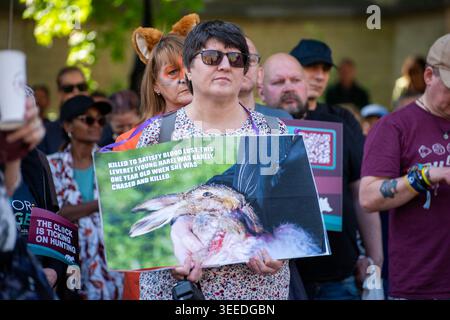 Londra, Greater London, Regno Unito. 9 maggio 2026. La caccia ai sentieri è destinata ad essere vietata in Inghilterra e Galles a seguito di un annuncio del governo del 26 marzo 2026, volto a chiudere le scappatoie nel Hunting Act 2004. Una consultazione pubblica di 12 settimane sul divieto, disponibile su Citizen Space, si chiude il 18 giugno 2026. Il divieto mira a proteggere la fauna selvatica e ad affrontare le rivendicazioni secondo cui la caccia ai sentieri funge da "cortina fumogena" per la caccia illegale. Attivisti per i diritti degli animali riuniti dall'edificio del Parlamento dal presentatore televisivo e naturalista inglese di Chris Packham e dal presentatore televisivo e zoologo Megan Foto Stock
