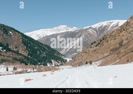Paesaggio invernale panoramico nella Gola di Grigoryev con una strada innevata che conduce attraverso una valle di montagna, le pendici della foresta di conifere e le cime di Tian Shan, Kyrg Foto Stock