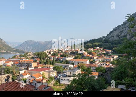 Ampia vista panoramica su Cattaro con tetti di tegole rosse, colline verdi e aspre montagne sopra la baia di Cattaro, Montenegro, in una giornata di sole limpido Foto Stock