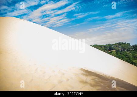 DUNE DU PILAT, FRANCIA, 6 AGOSTO 2026: Scatti ad angolo alto che mostrano le imponenti creste e le texture scolpite dal vento della Dune du Pilat, la più alta sa Foto Stock