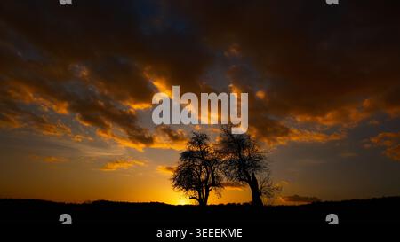 Magnifico cielo luminoso al tramonto con nuvole arancioni illuminate e alberi sagomati all'orizzonte Foto Stock