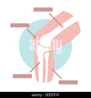 Immagine vettoriale piatta pulita di un diagramma anatomico del ginocchio umano con struttura ossea, articolazioni e concetti ortopedici di assistenza sanitaria. Illustrazione Vettoriale