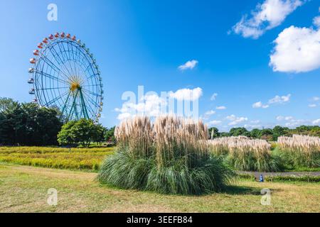 Ruota panoramica, occhi blu al parco marittimo Hitachi a Hitachi, Ibaraki, Giappone Foto Stock