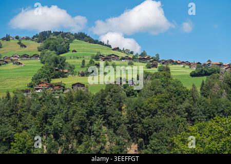 Villaggio svizzero tradizionale sulle Rolling Green Hills sotto il cielo blu in Svizzera, Europa Foto Stock