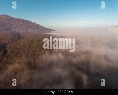 Splendida vista aerea con droni sulle nebbiose montagne autunnali e sulla foresta dorata all'alba Foto Stock