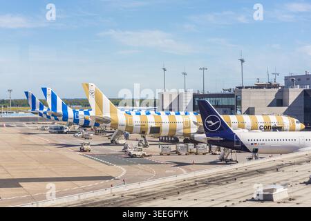 FRANCOFORTE, GERMANIA -26 APRILE 2026- Vista degli aerei della compagnia aerea tedesca Condor DE presso l'aeroporto di Francoforte fra. Foto Stock