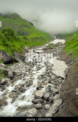 Un ruscello di montagna che scorre velocemente si getta sulle rocce in una lussureggiante valle verde, con nebbie che oscurano le colline superiori. Valle dei fiori, Uttarakhand, India. Foto Stock