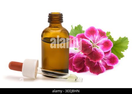 olio essenziale di geranium in flacone di vetro con contagocce isolato su sfondo bianco. Estratto floreale naturale per aromaterapia, cura della pelle, benessere e cosmo Foto Stock