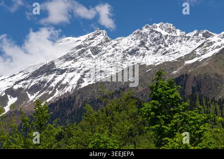 Vette innevate. Ricinsky relict National Park, Abkhazia Foto Stock