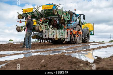 Agricoltore e imprenditore che parlano in un campo in cui piantano una foraggera di mais in un'azienda lattiero-casearia. Cumbria, Regno Unito. Foto Stock