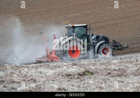Claas Axion 830 eruttante di potenza in calce appena sparsa su un campo arato. Il calcare in polvere aiuta la fertilità del terreno. Cumbria, Regno Unito. Foto Stock
