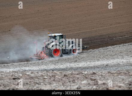 Claas Axion 830 eruttante di potenza in calce appena sparsa su un campo arato. Il calcare in polvere aiuta la fertilità del terreno. Cumbria, Regno Unito. Foto Stock