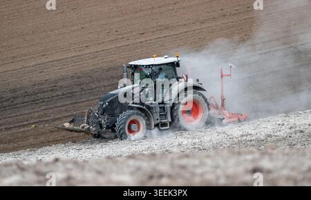 Claas Axion 830 eruttante di potenza in calce appena sparsa su un campo arato. Il calcare in polvere aiuta la fertilità del terreno. Cumbria, Regno Unito. Foto Stock