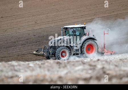 Claas Axion 830 eruttante di potenza in calce appena sparsa su un campo arato. Il calcare in polvere aiuta la fertilità del terreno. Cumbria, Regno Unito. Foto Stock