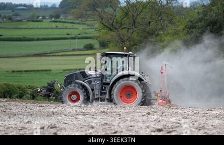 Claas Axion 830 eruttante di potenza in calce appena sparsa su un campo arato. Il calcare in polvere aiuta la fertilità del terreno. Cumbria, Regno Unito. Foto Stock