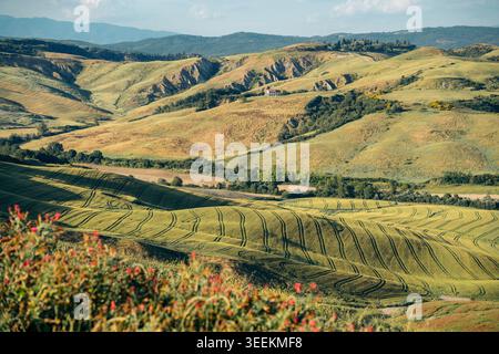Crete Senesi, Toscana, Italia: Colline ondulate e paesaggi agricoli Foto Stock