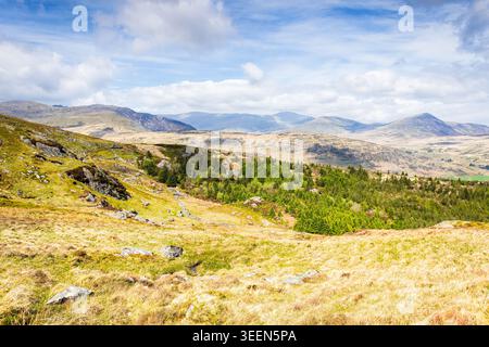 Una foto luminosa e ampia del paesaggio scattata dalle pendici orientali più basse di Moel Siabod nel Galles del Nord. Il primo piano è composto da soleggiati Foto Stock