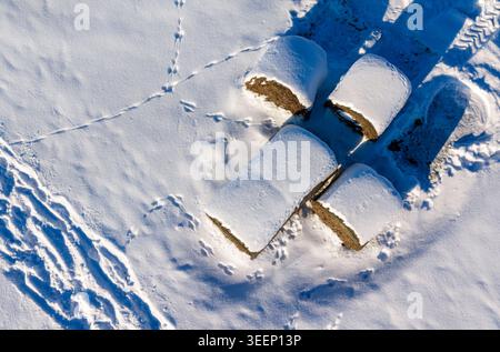 Vista aerea delle balle di fieno ricoperte di neve fresca con tracce di animali e lunghe ombre della Lituania. Foto Stock